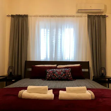 Luxury Industrial House 8 דירה *